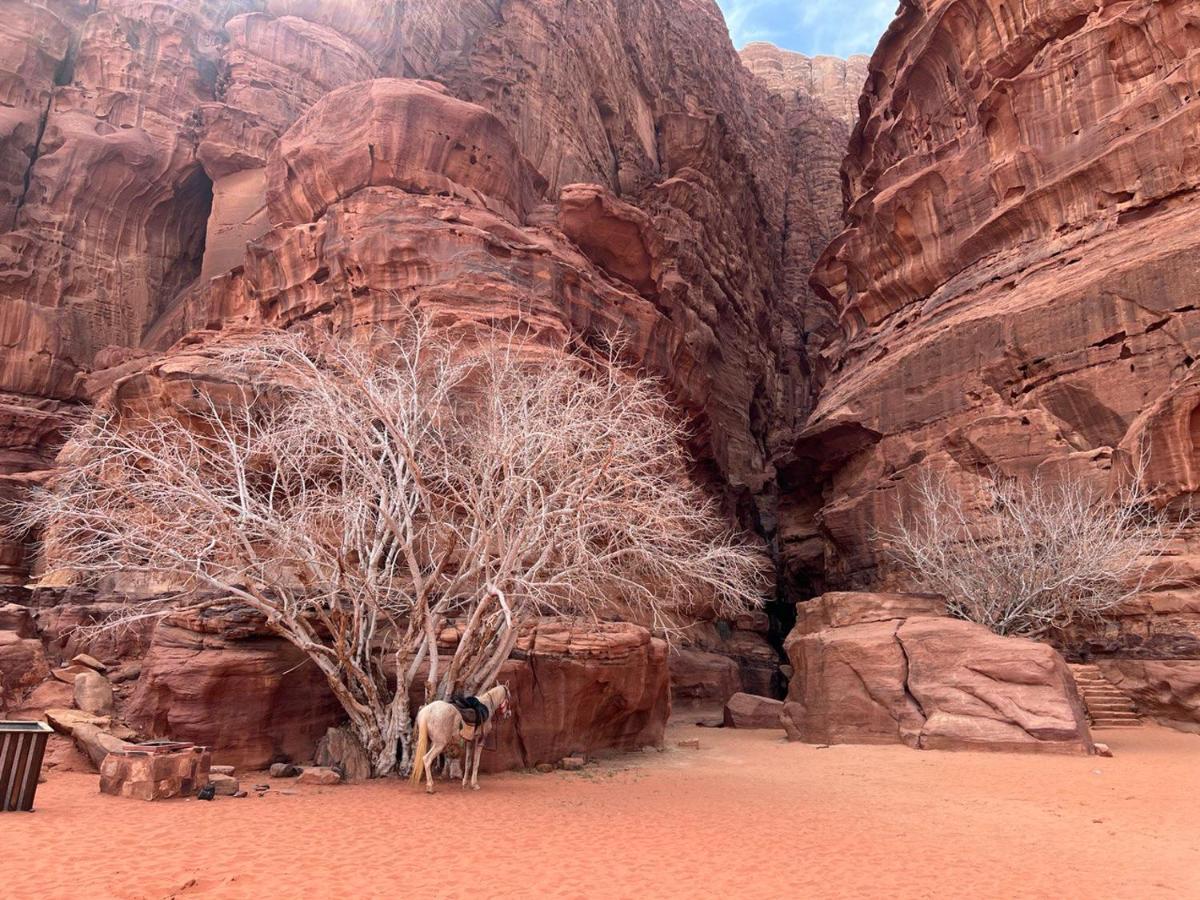 Golden Day Hotel Wadi Rum Exterior photo
