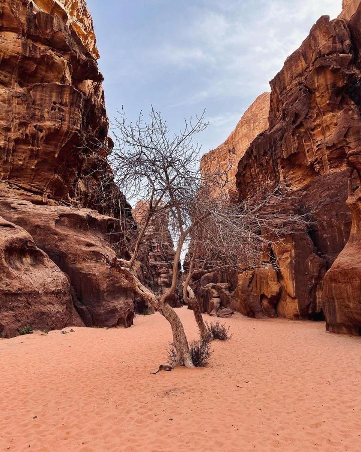 Golden Day Hotel Wadi Rum Exterior photo